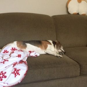 Meet your Posher, Debra